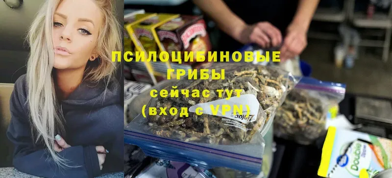 Галлюциногенные грибы Magic Shrooms  Полысаево 